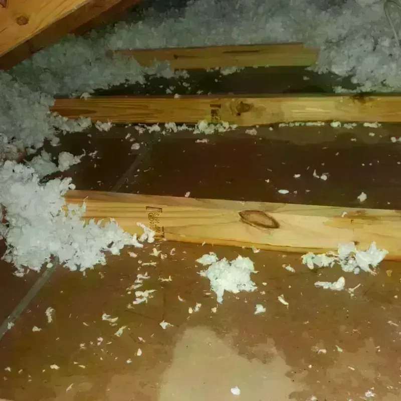 Attic Water Damage in Wayne, NE