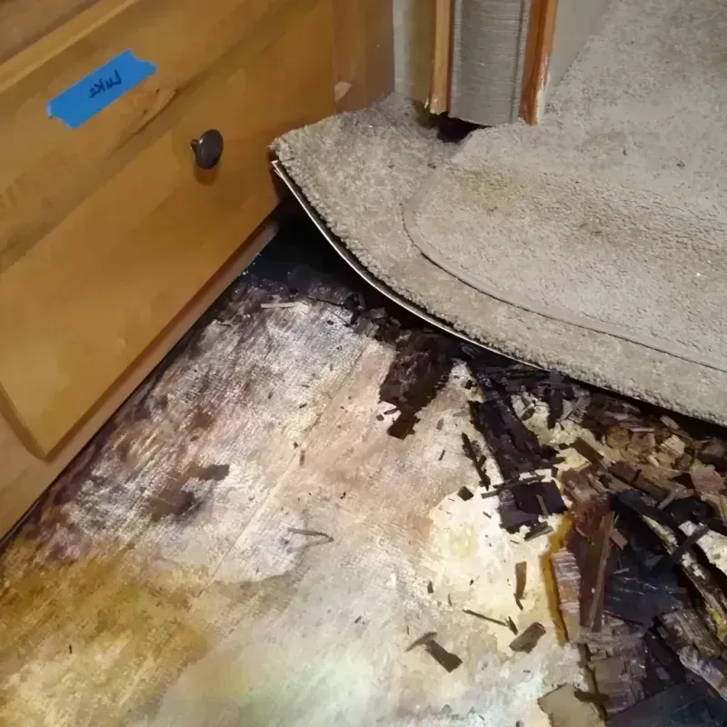 Wood Floor Water Damage in Wayne, NE